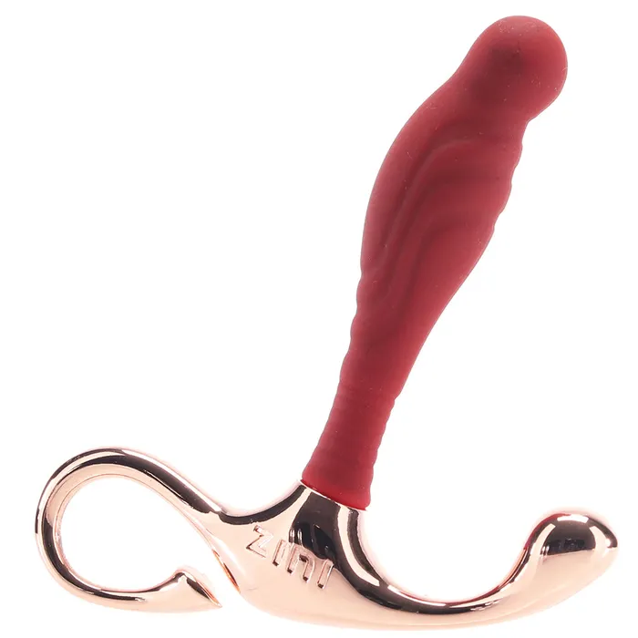 Bswish Anal Zini Janus Bordeaux Lamp Iron Prostate Massager