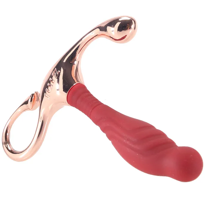 Bswish Anal Zini Janus Bordeaux Lamp Iron Prostate Massager