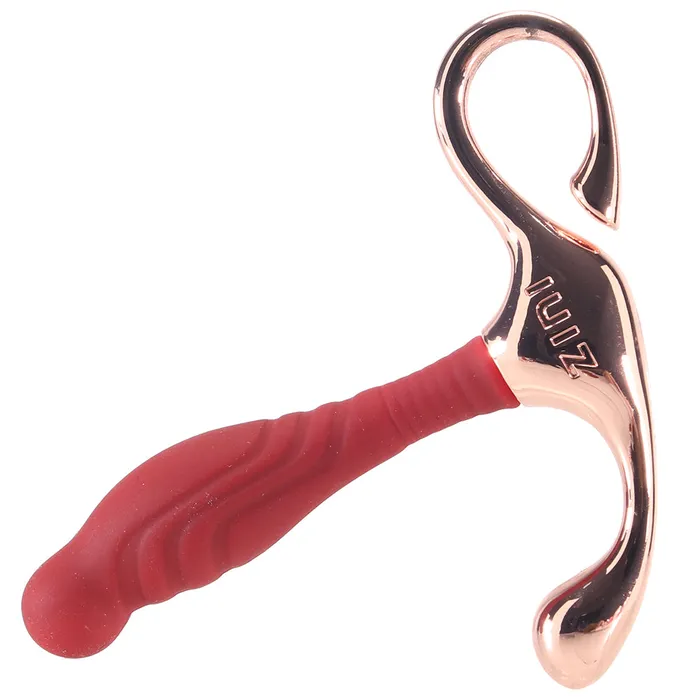 Bswish Anal Zini Janus Bordeaux Lamp Iron Prostate Massager