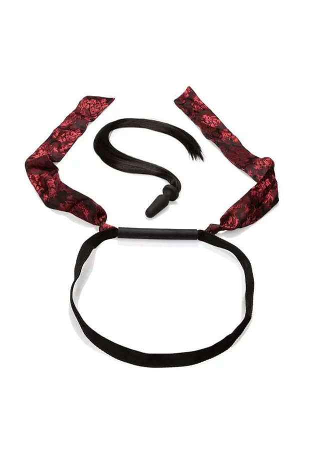 Cal Exotics Couples Cal Exotics Scandal Pony Play Kit