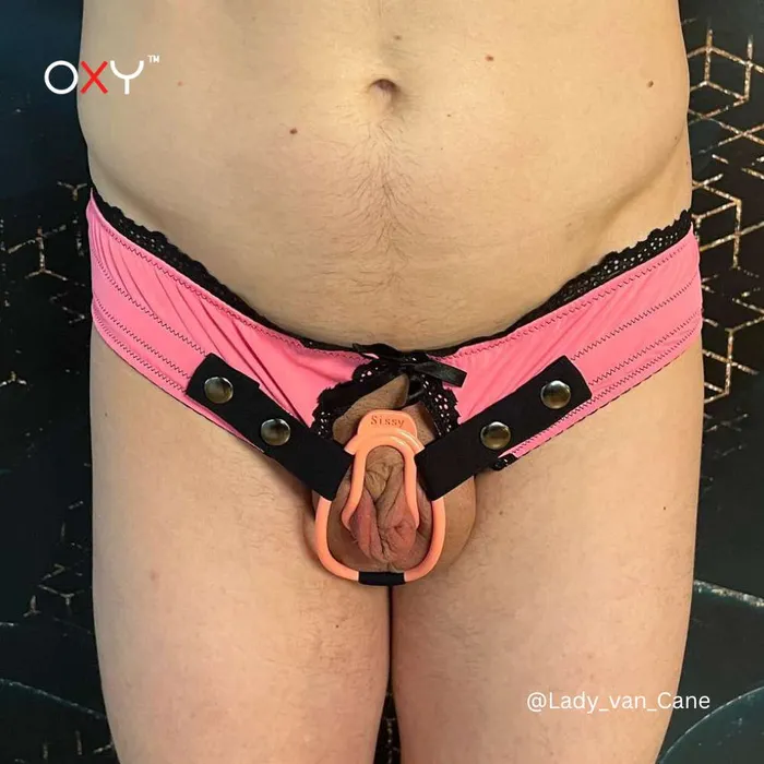 The Sissy Training Bundle Essentials Oxyshop Male Sex Toys