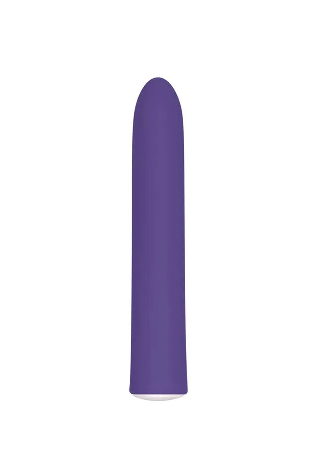 Vibrators Evolved Evolved Rechargeable Slim Vibrator Purple