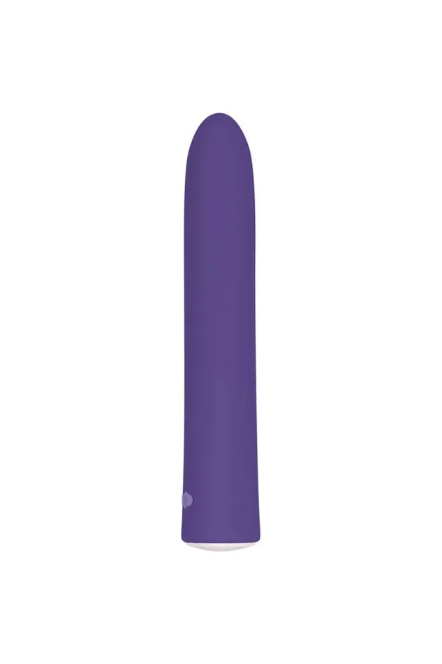 Vibrators Evolved Evolved Rechargeable Slim Vibrator Purple
