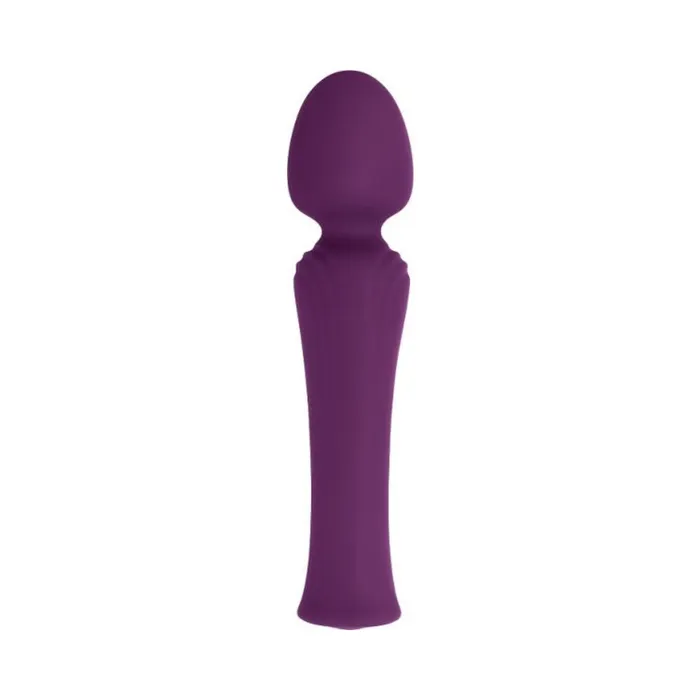 Evolved Vibrators My Secret Wand Purple Vibrator