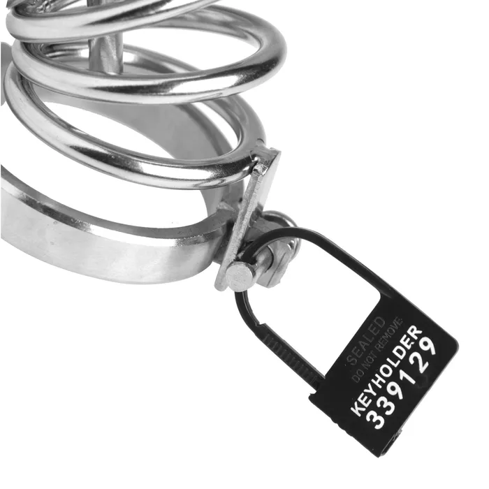 Male Sex Toys Master Series Keyholder 10 Pack Numbered Plastic Chastity Locks