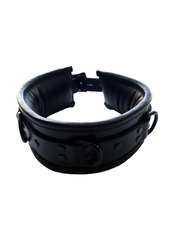 Padded Leather Collar Rouge Restraints