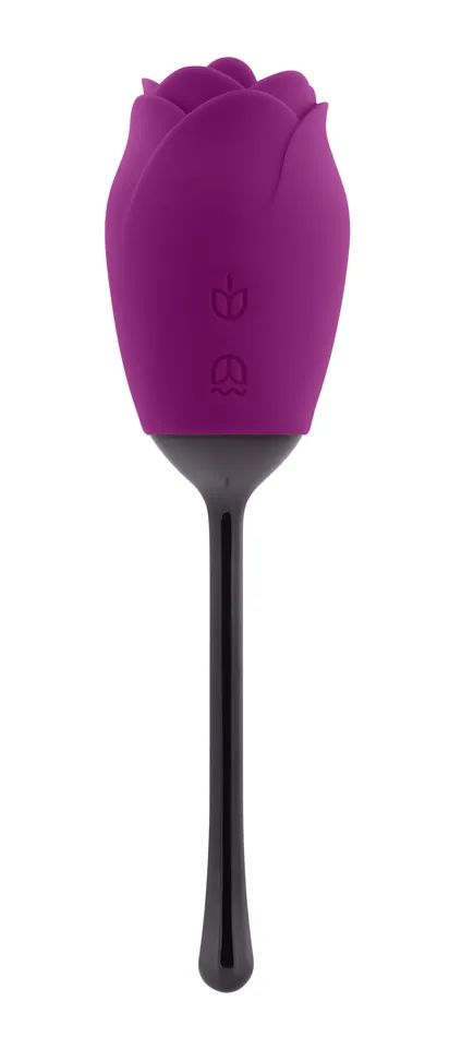 Female Sex Toys Playboy Pleasure Playboy Pleasure Petal Vibrator Plum