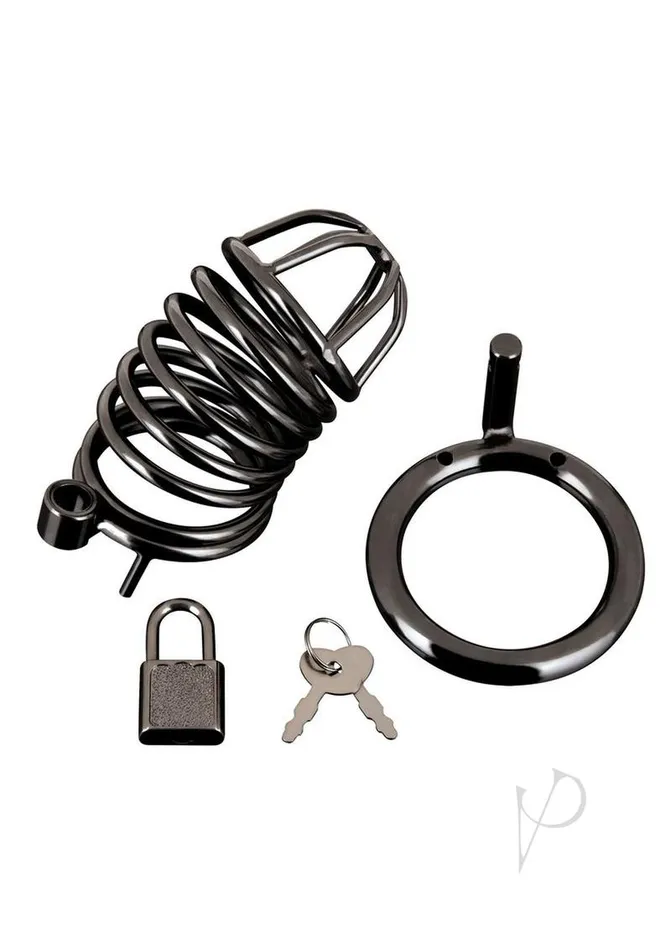 Blue Line Deluxe Chastity Cage Black Blue Line Cand B Gear Vibrators