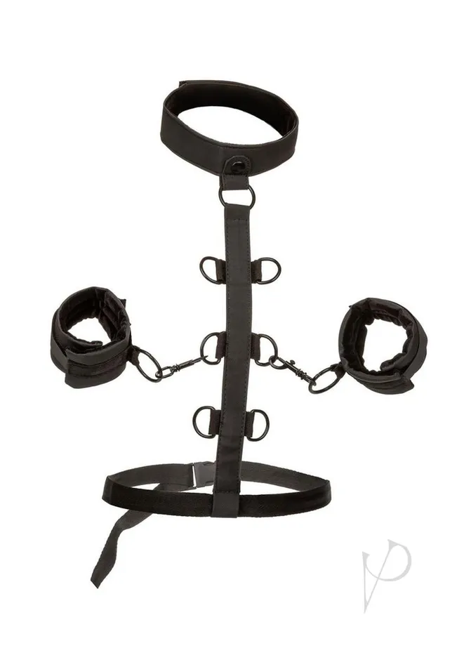Boundless Anal Boundless Collar Body Restraint Black Boundless Anal Boundless Collar Body Restraint Black
