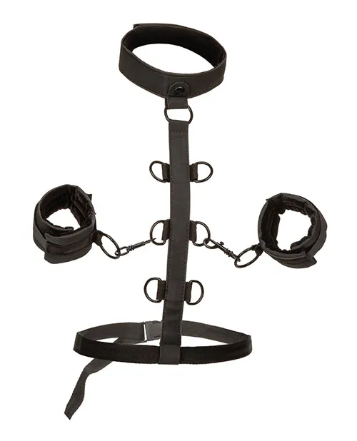 Boundless Anal Boundless Collar Body Restraint Black Boundless Anal Boundless Collar Body Restraint Black