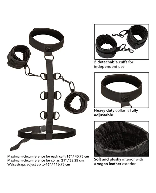 Boundless Anal Boundless Collar Body Restraint Black Boundless Anal Boundless Collar Body Restraint Black