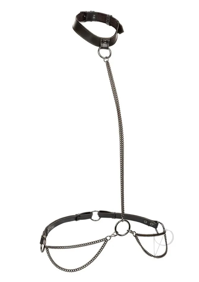 Euphoria Anal Euphoria Collection Chain HalterCollar and Leash Black