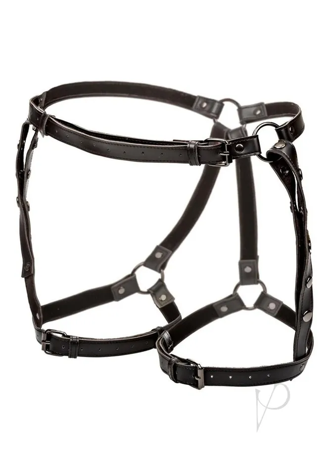 Euphoria Anal Euphoria Collection Riding Thigh Harness Black