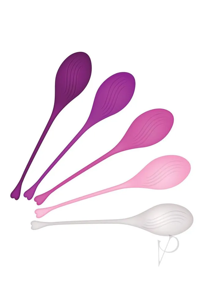 Evolved Female Sex Toys Tight and Delight Silicone Weighted Kegel Balls Set 5 piece Multicolor