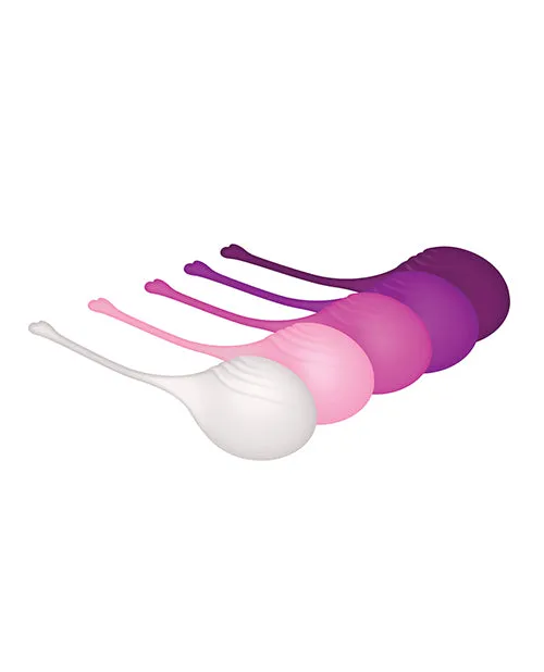 Evolved Female Sex Toys Tight and Delight Silicone Weighted Kegel Balls Set 5 piece Multicolor