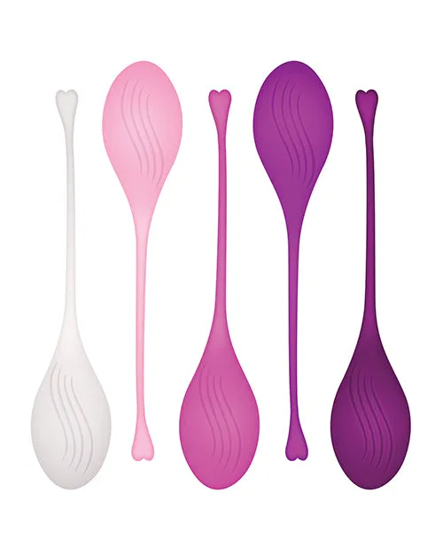 Evolved Female Sex Toys Tight and Delight Silicone Weighted Kegel Balls Set 5 piece Multicolor