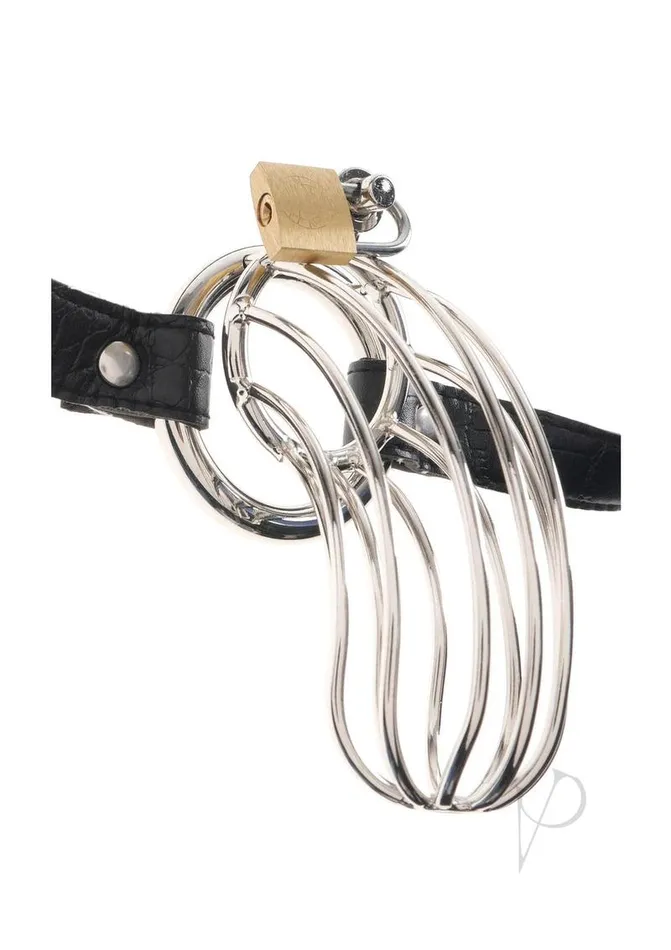 Fetish Fantasy Extreme Male Sex Toys Fetish Fantasy Extreme The Prisoner Steel Cock Cage Chastity Belt with Lock Silver Fetish Fantasy Extreme Male Sex Toys Fetish Fantasy Extreme The Prisoner Steel Cock Cage Chastity Belt with Lock Silver