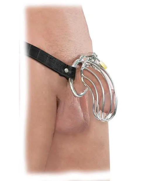 Fetish Fantasy Extreme Male Sex Toys Fetish Fantasy Extreme The Prisoner Steel Cock Cage Chastity Belt with Lock Silver Fetish Fantasy Extreme Male Sex Toys Fetish Fantasy Extreme The Prisoner Steel Cock Cage Chastity Belt with Lock Silver