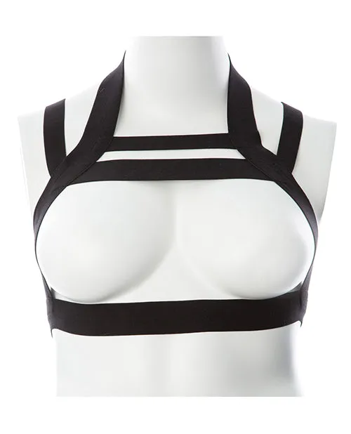 Gender Fluid Majesty Harness XLXXXL Black Gender Fluid Anal