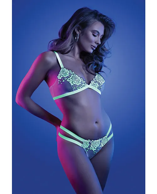 Glow By Fantasy Lingerie Female Sex Toys Glow Night Vision Glow In the Dark Bralette Cage Panty LXL Glow By Fantasy Lingerie Female Sex Toys Glow Night Vision Glow In the Dark Bralette Cage Panty LXL