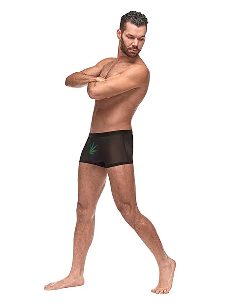Male Power Anal Private Screening Micro Mesh Modal Pot Leaf Black MD