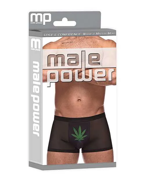 Male Power Anal Private Screening Micro Mesh Modal Pot Leaf Black MD Male Power Anal Private Screening Micro Mesh Modal Pot Leaf Black MD