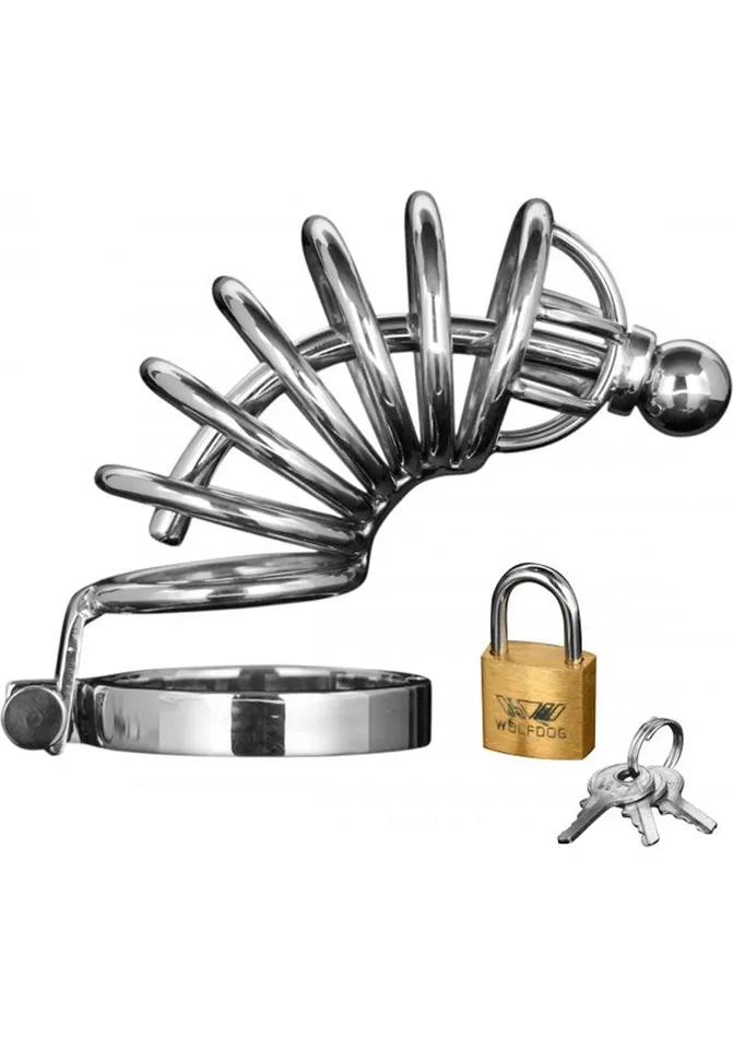 Male Sex Toys Master Series Master Series Asylum 6 Ring Locking Chastity Cage Silver