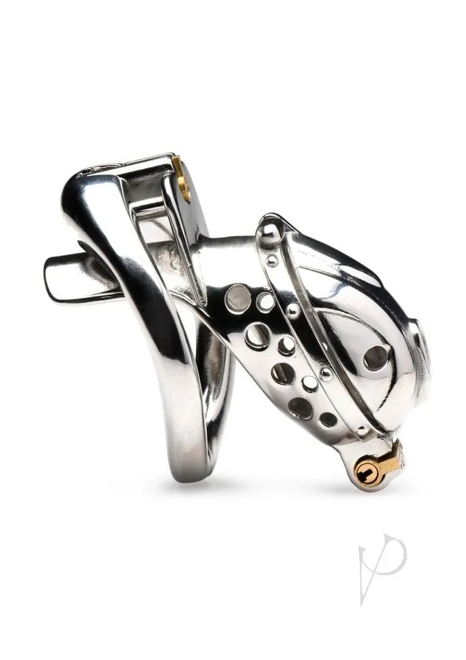 Male Sex Toys Master Series Master Series Entrapment Deluxe Locking Chastity Cage Silver