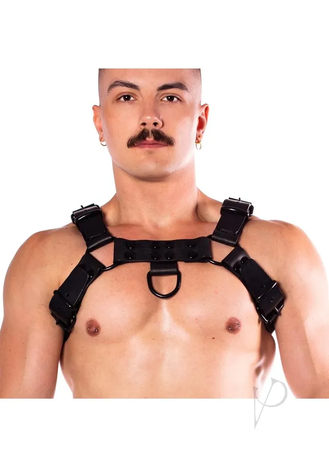 Prowler Red Anal Prowler RED Noir Harness Premium Large Black