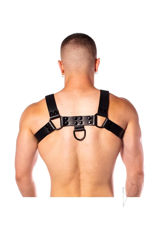 Prowler Red Anal Prowler RED Noir Harness Premium Large Black