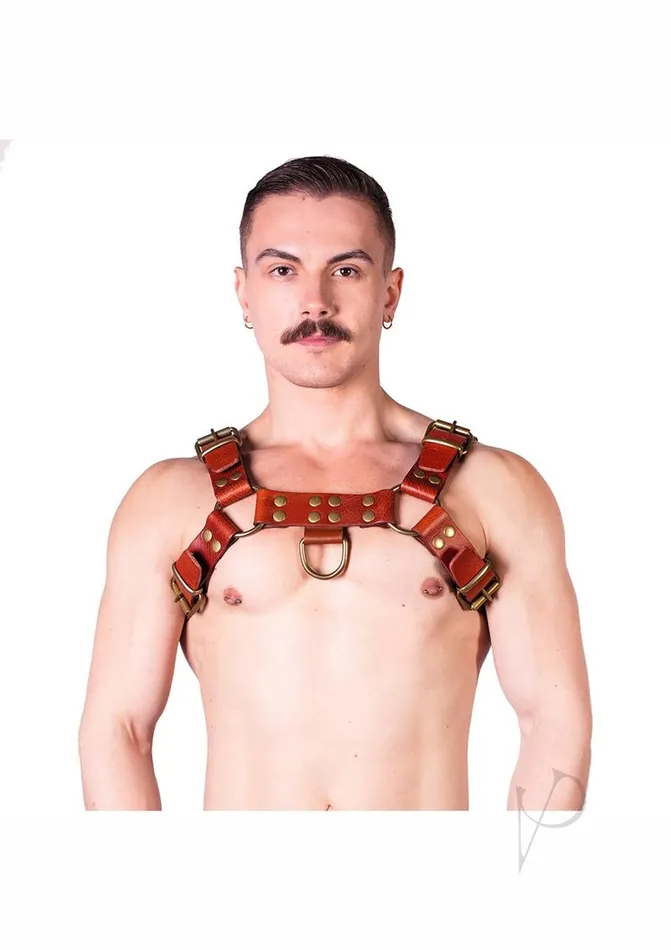 Prowler Red Female Sex Toys Prowler RED Butch Harness Medium BrownBrass