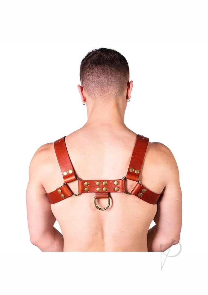 Prowler Red Female Sex Toys Prowler RED Butch Harness Medium BrownBrass