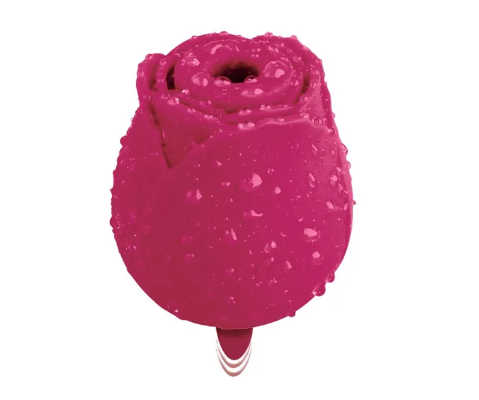 SimpleeDiscreet Simplee Discreet Rose Intimate Vibrator Vibrators SimpleeDiscreet Simplee Discreet Rose Intimate Vibrator Vibrators