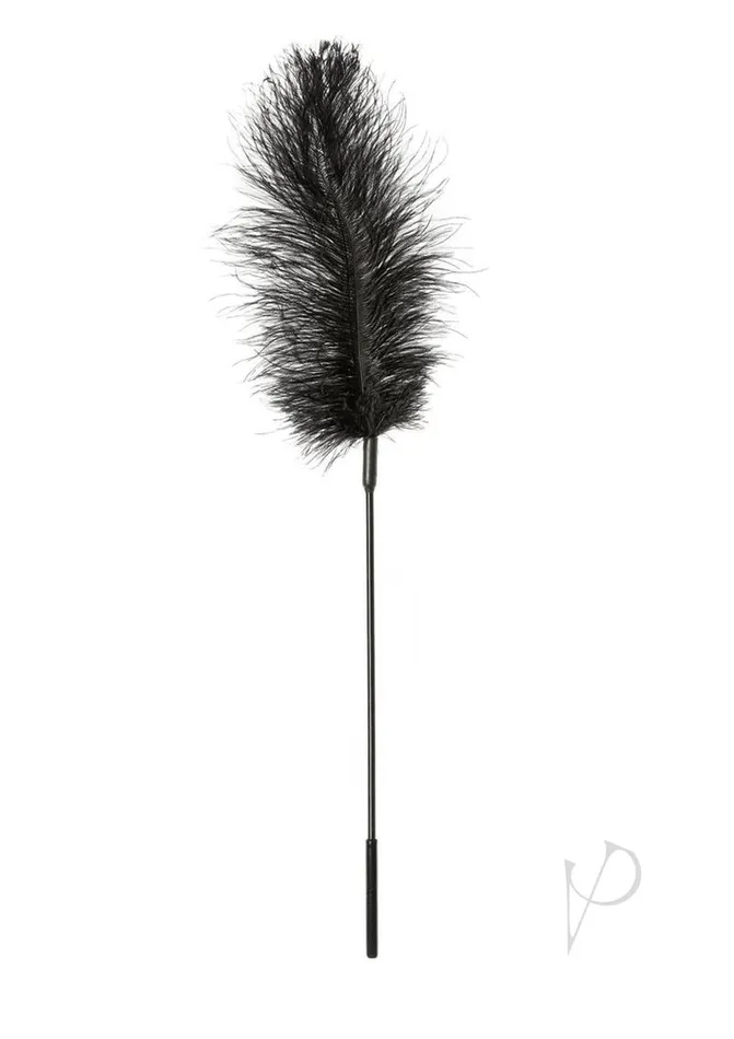 Sportsheets Anal Sportsheets Ostrich Feather Tickler Black Sportsheets Anal Sportsheets Ostrich Feather Tickler Black