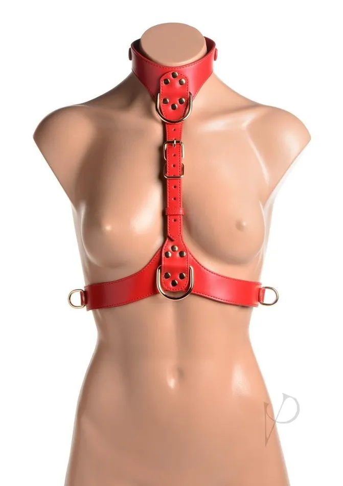 Strict Mens Underwear Strict Female Chest Harness MediumLarge Red