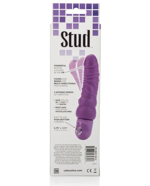 Vibrators Bendie Stud Curvy Vibrator Purple Studs
