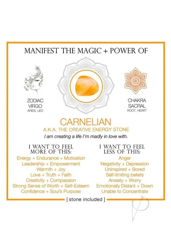 Warm Human Vibrators Warm Human Carnelian