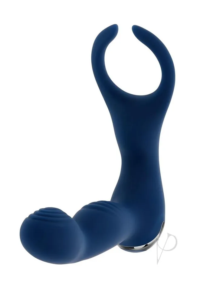Zero Tolerance By All Means Rechargeable Silicone Anal Vibrator with Remote Control Blue Zero Tolerance Anal Zero Tolerance By All Means Rechargeable Silicone Anal Vibrator with Remote Control Blue Zero Tolerance Anal